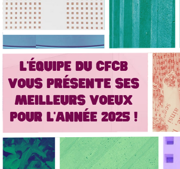 Voeux 2025 | Centre de Formation aux Carrières des Bibliothèques ...
