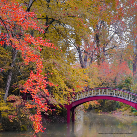 Image illustration pont