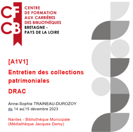 [A1V1] Entretien des collections patrimoniales  DRAC