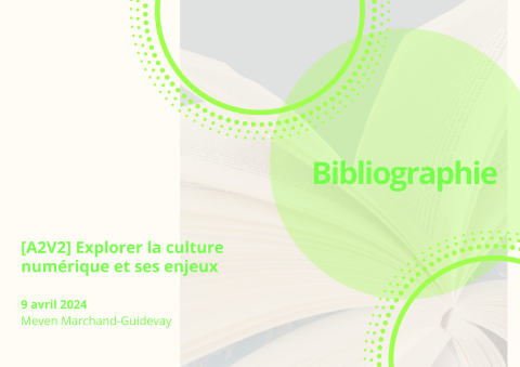 Visuel Culture numérique