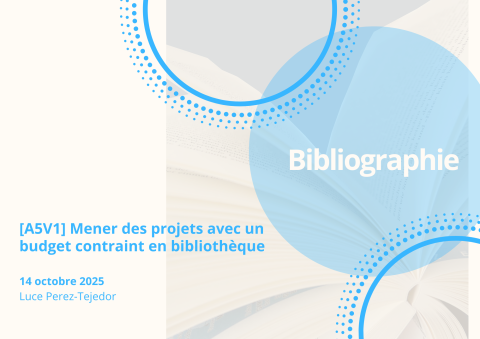 Visuel Mener des projets avec un budget contraint